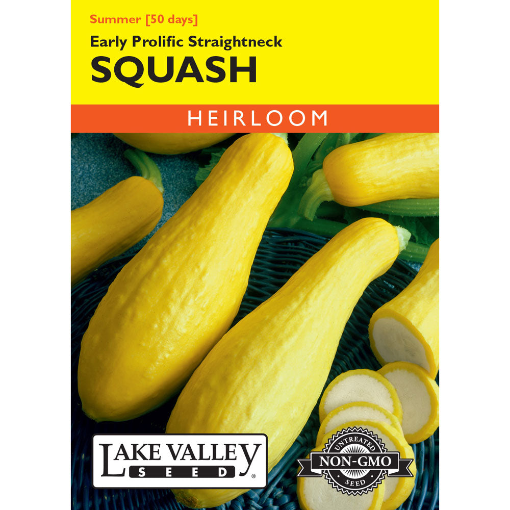 Lake Valley, Squash, (Summer) Early Prolific Straightneck
