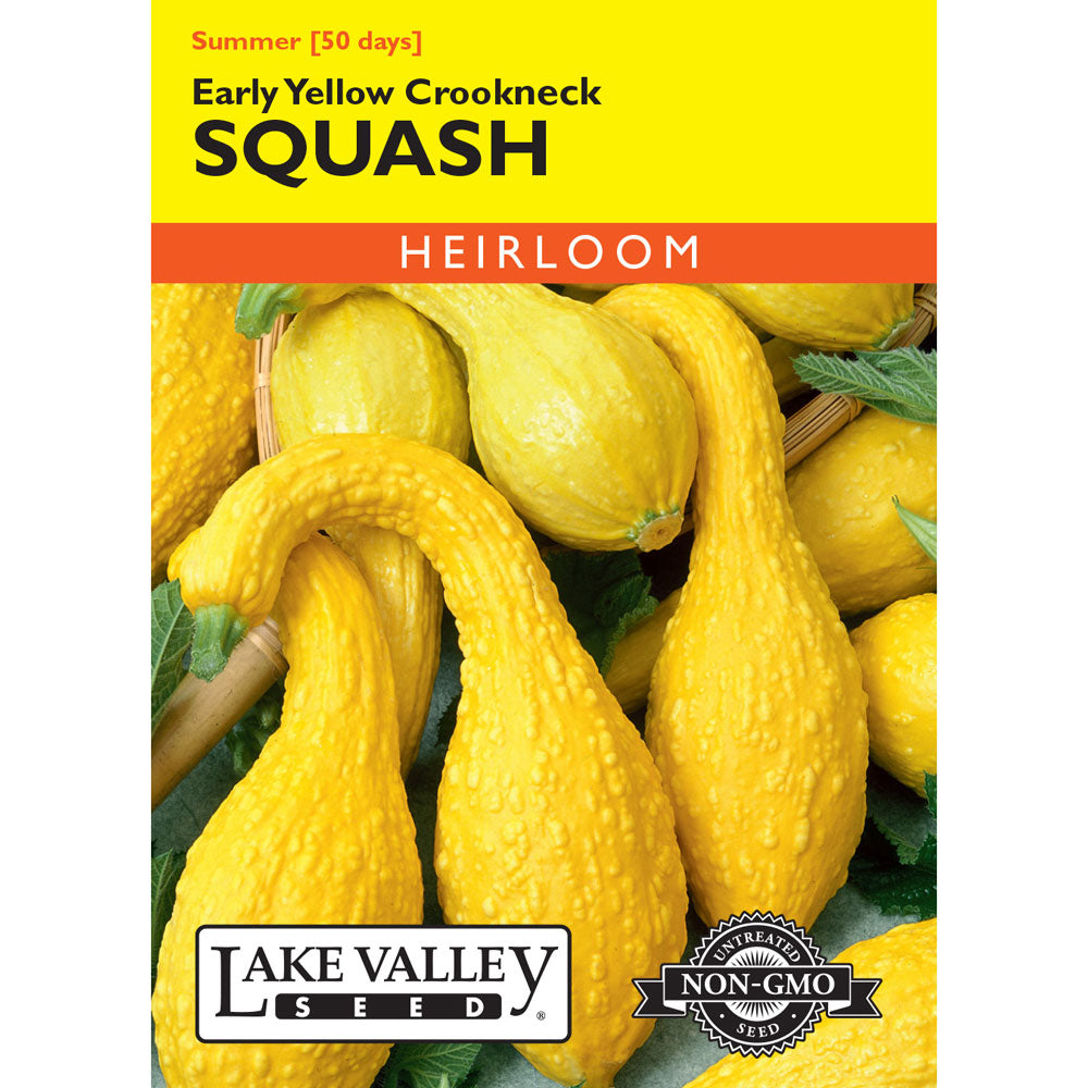 Lake Valley, Squash, (Summer) Early Yellow Crookneck