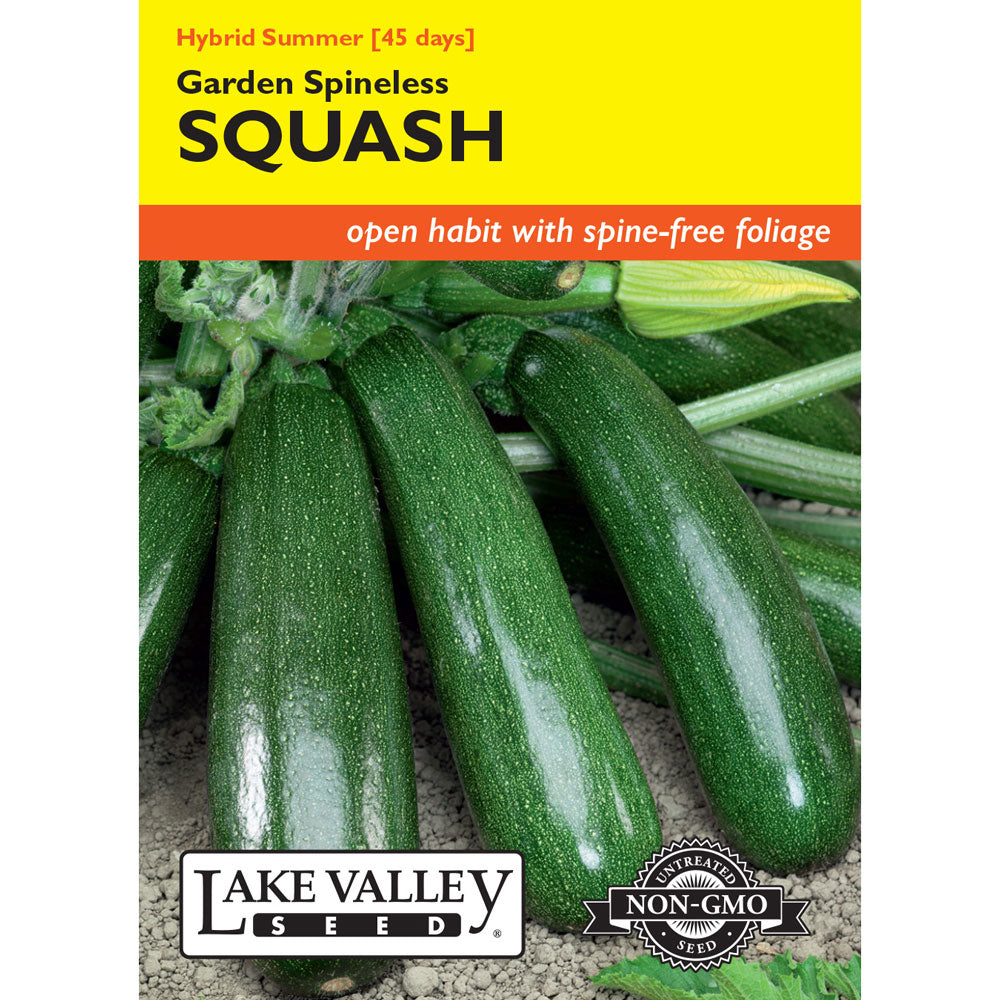 Lake Valley, Squash, (Summer) Garden Spineless Hybrid