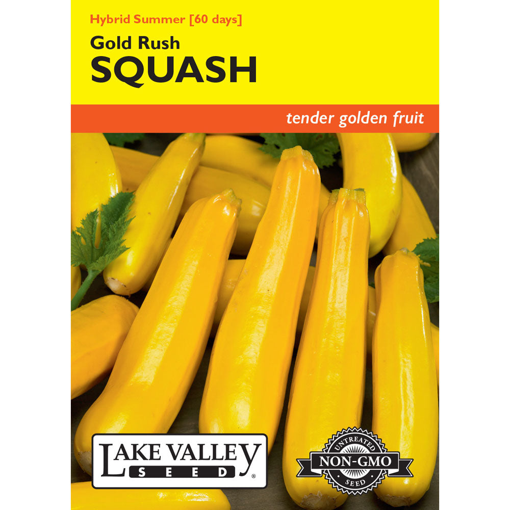 Lake Valley, Squash, (Summer) Gold Rush Hybrid