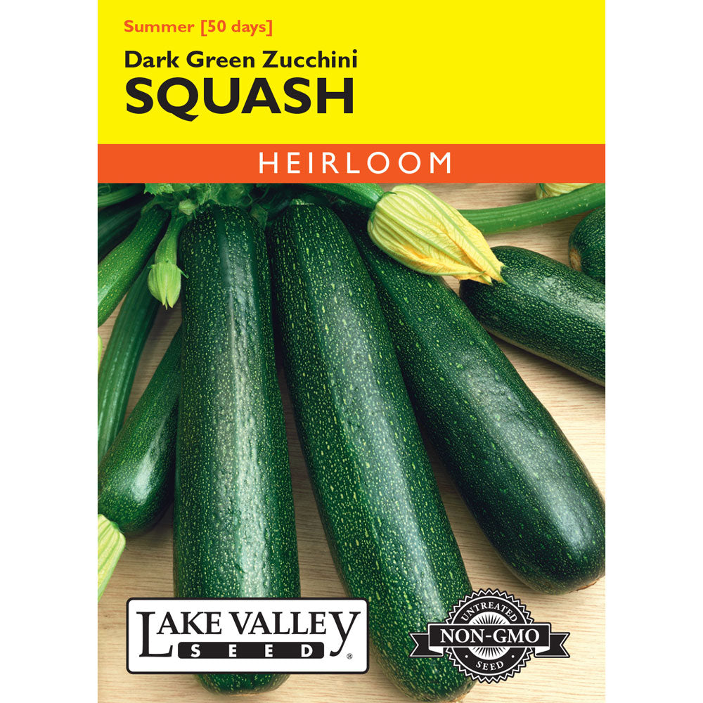 Lake Valley, Squash, (Summer) Zucchini Dark Green