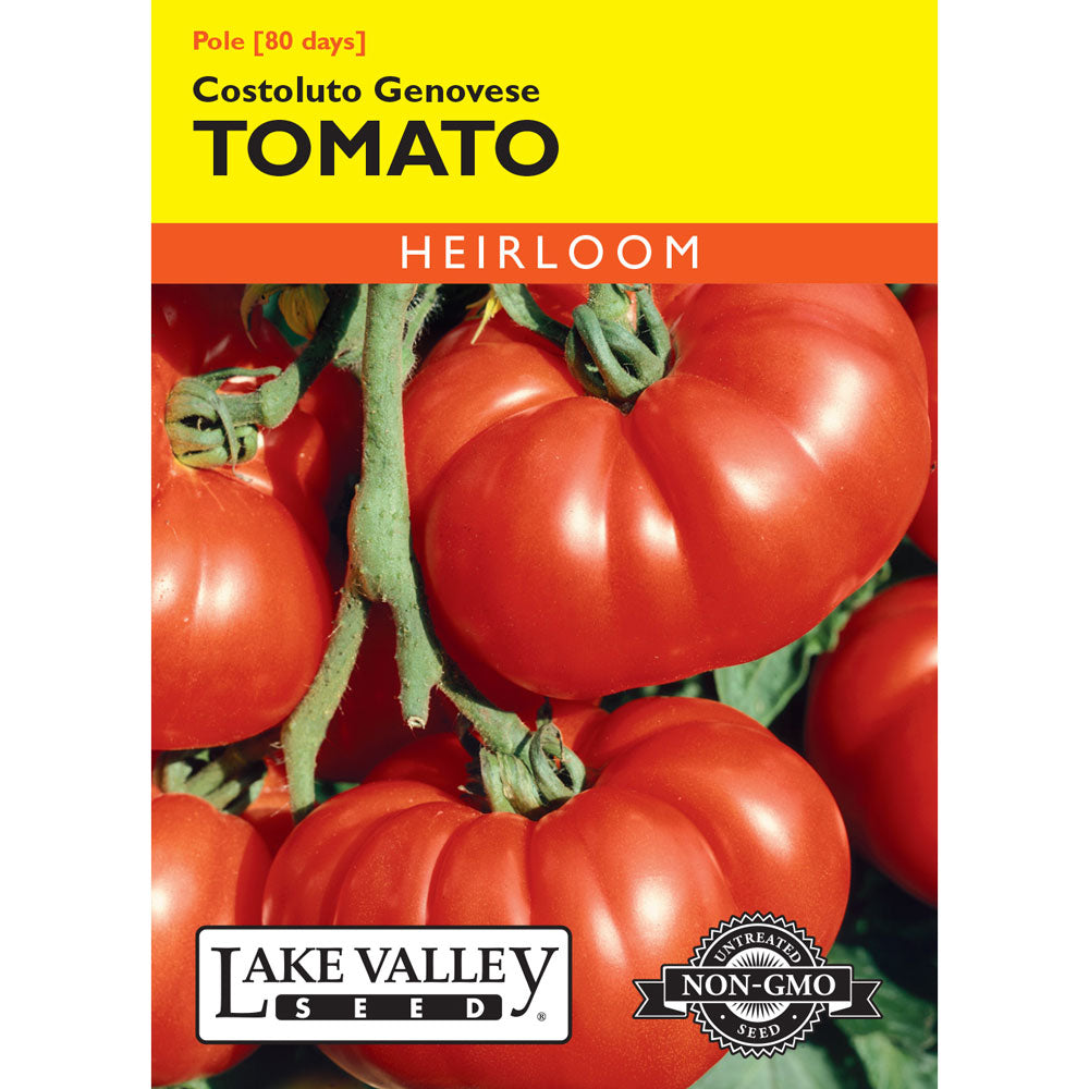 Lake Valley, Tomato, (Pole) Costoluto Genovese