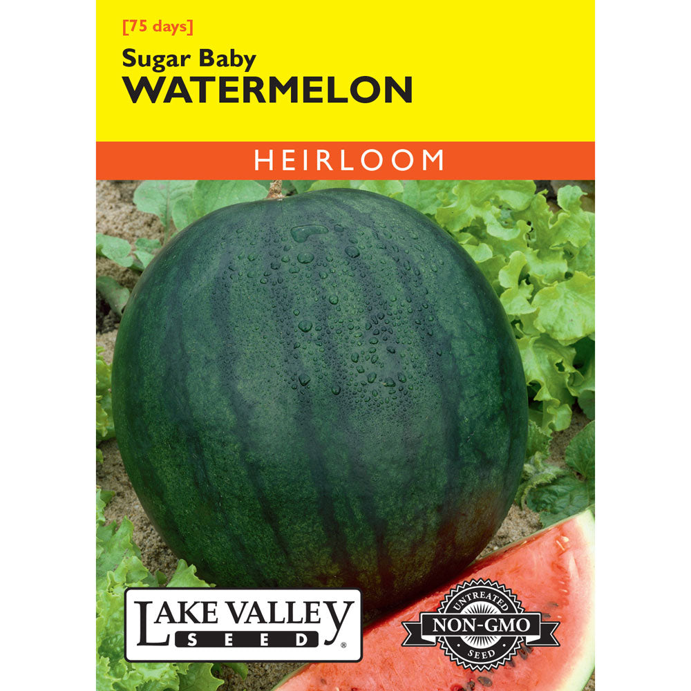 Lake Valley, Watermelon, Sugar Baby