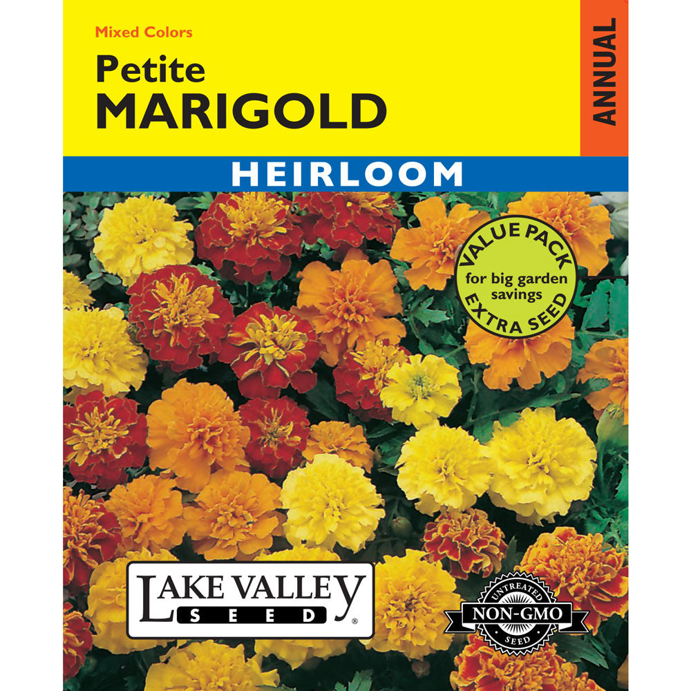 Lake Valley, Marigold Petite, Mixed Colors