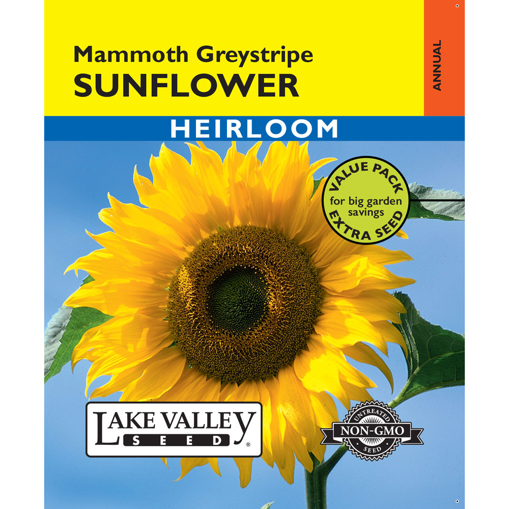 Lake Valley, Sunflower, Mammoth Greystripe