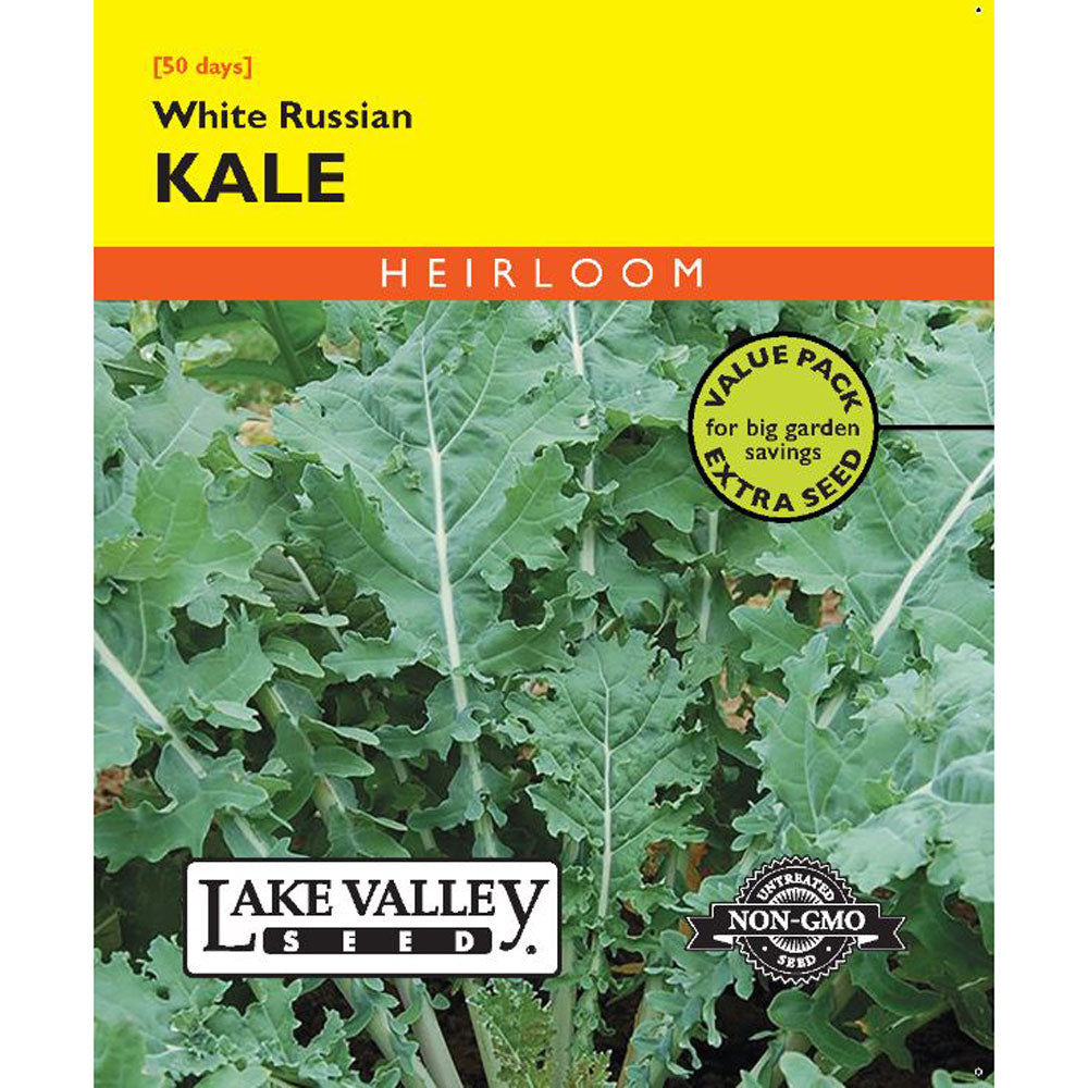 Lake Valley, Kale, Dwarf White Russian