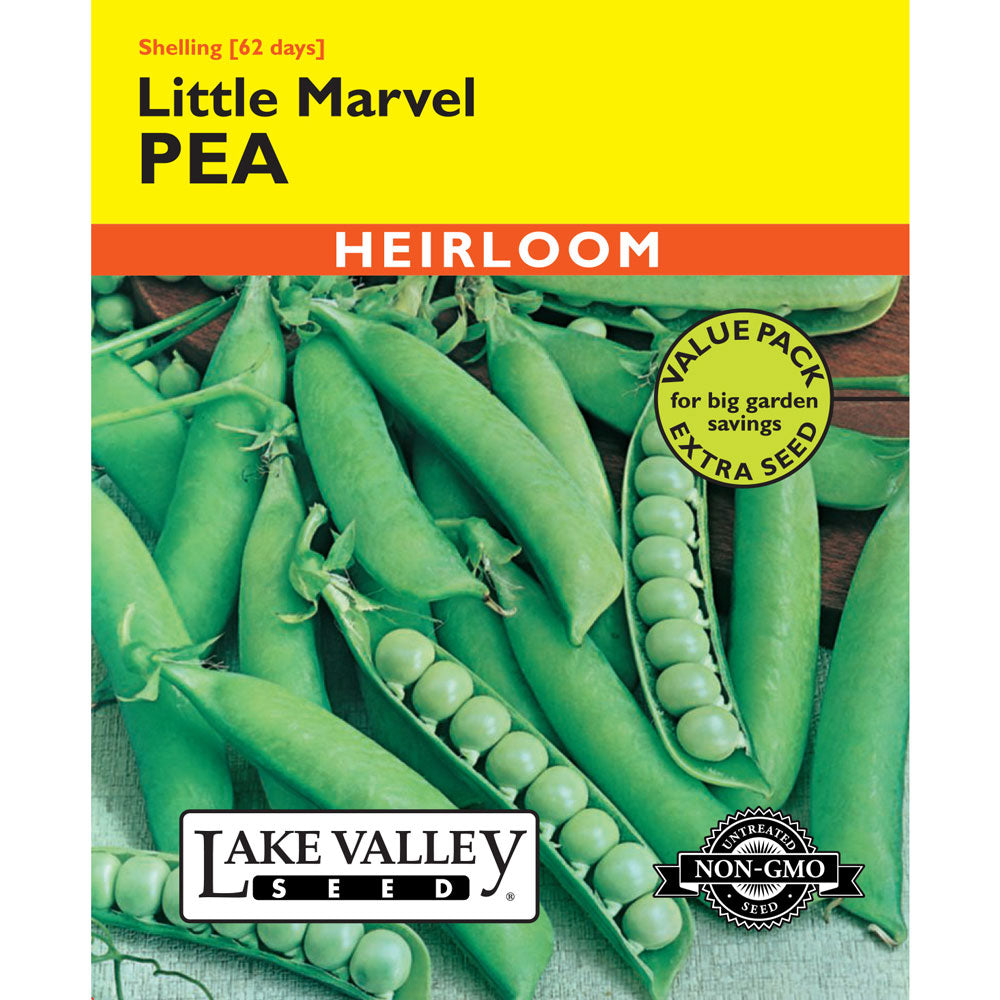 Lake Valley, Pea, Little Marvel (Bush)