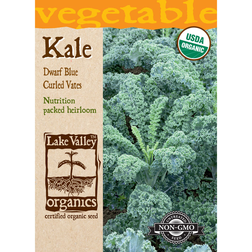 Lake Valley, Kale, Dwarf Blue Curled Vates Organic