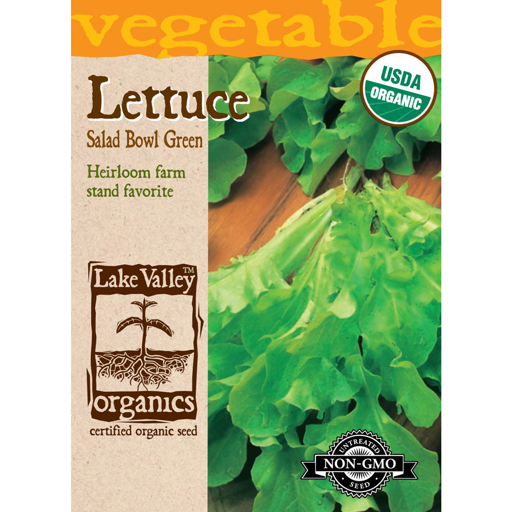 Lake Valley, Lettuce, Salad Bowl Green Organic