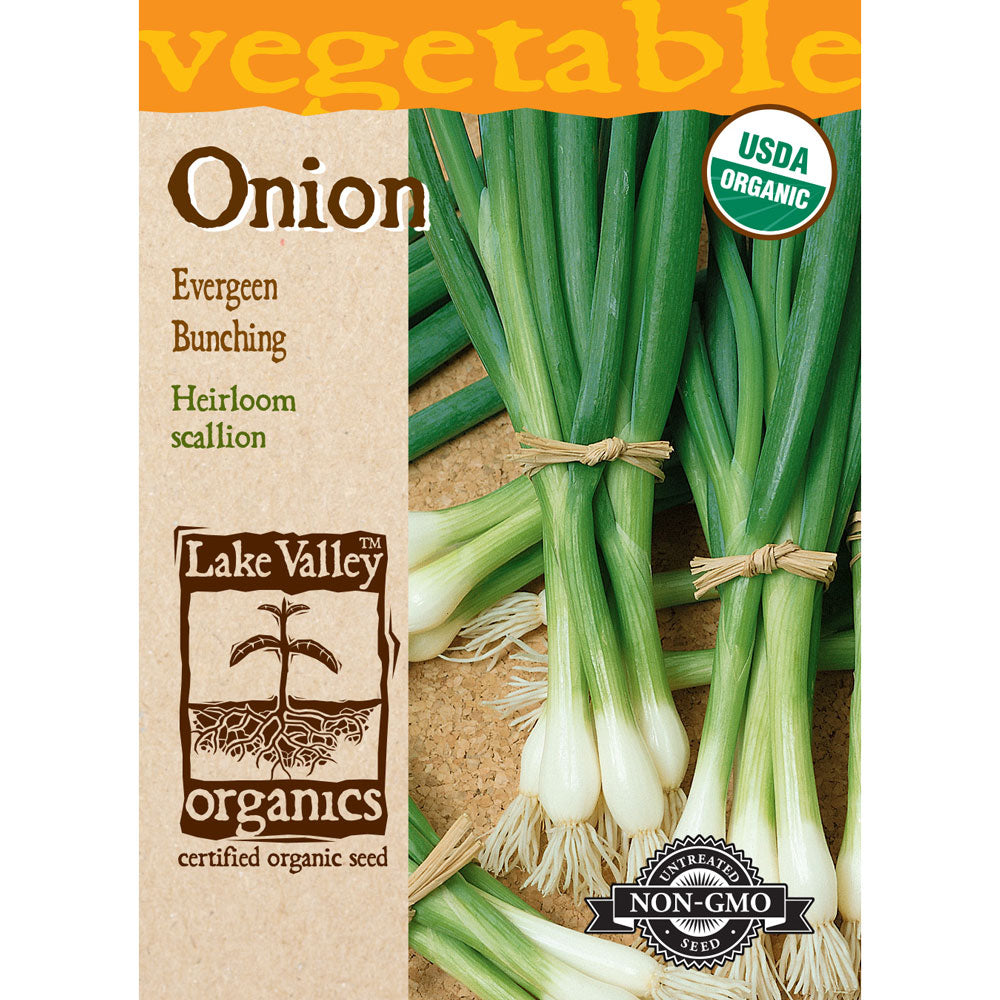 Lake Valley, Onion, Evergreen Bunching Organic