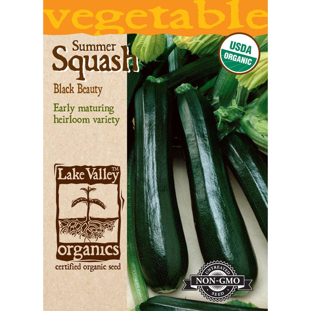 Lake Valley, Squash, Summer Black Beauty Organic