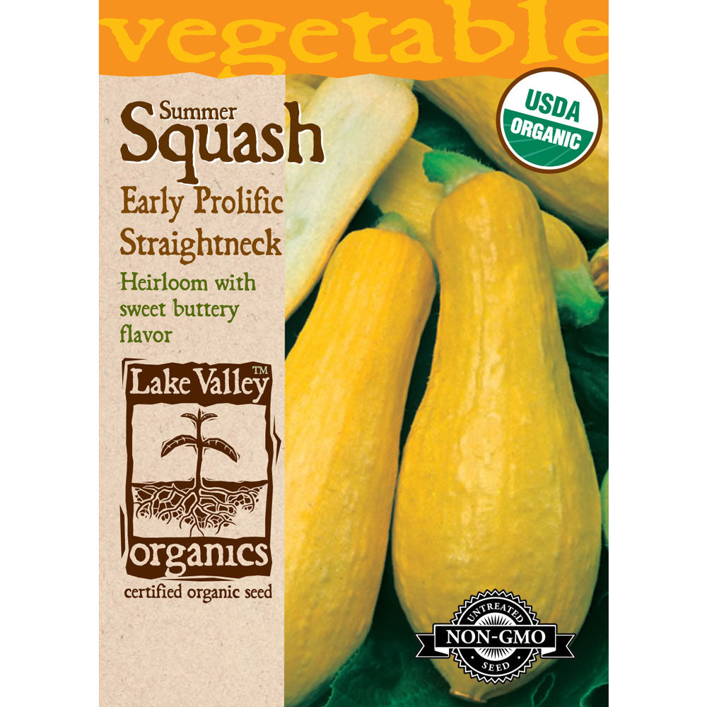 Lake Valley, Summer Early Prolific Straightneck Organic