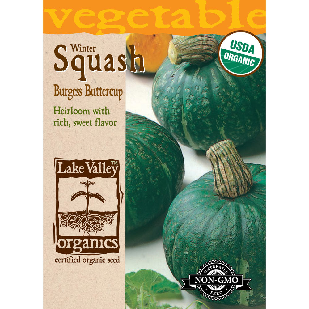 Lake Valley, Squash, Winter Burgess Buttercup Organic