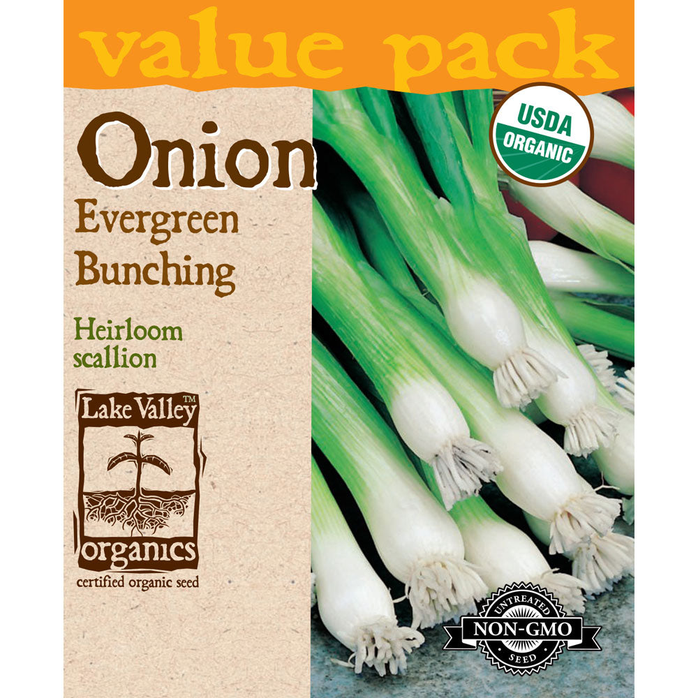Lake Valley, Onion, Evergreen Bunching Organic
