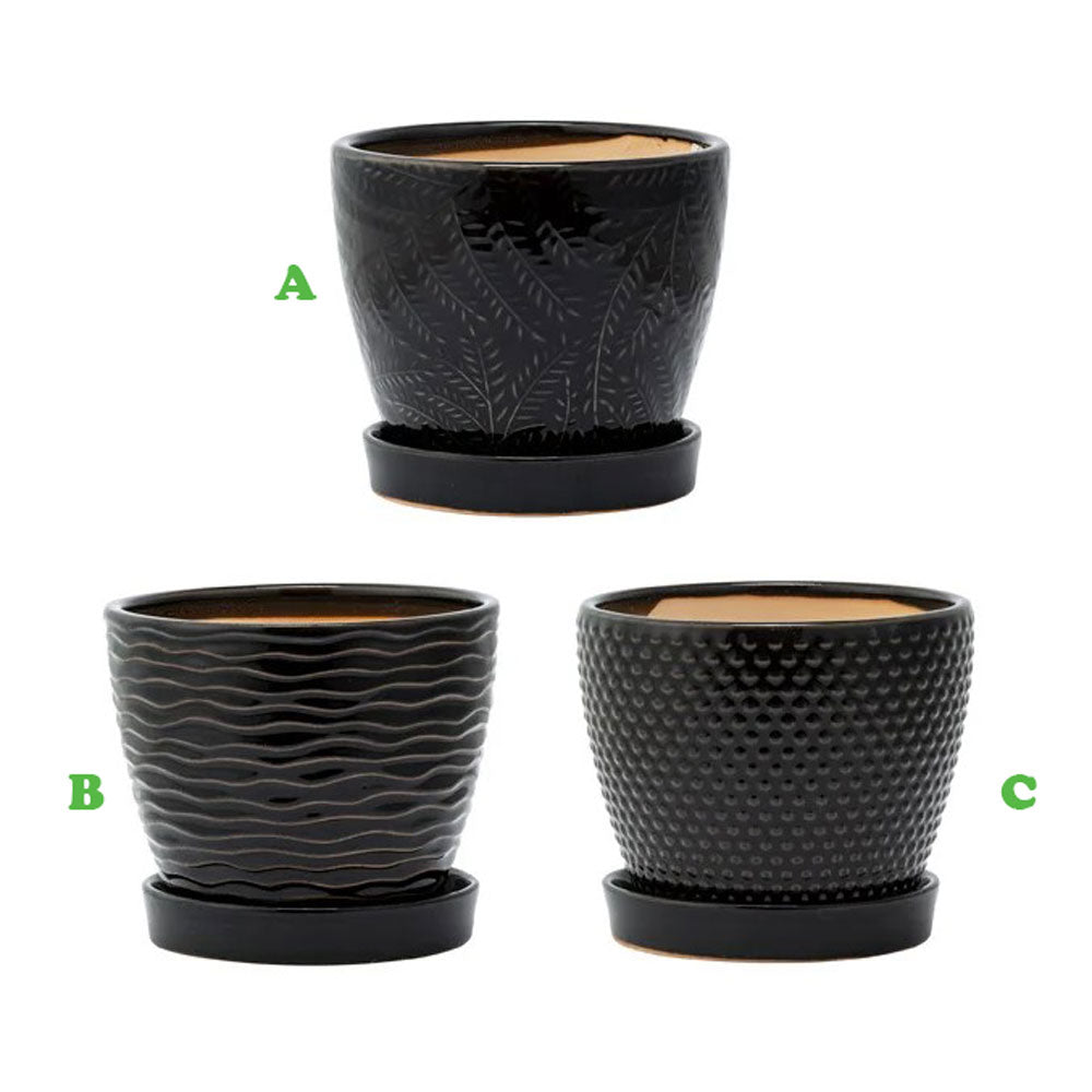 Napco, Black Planter w/Saucer, 5", Assorted and Sold Separately