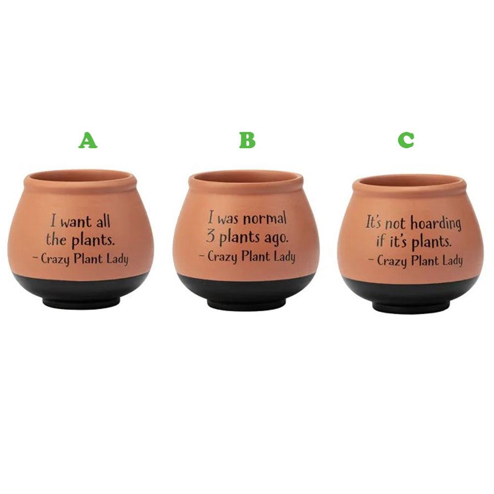 Napco, Crazy Plant Lady Planter, Assorted and Sold Separately