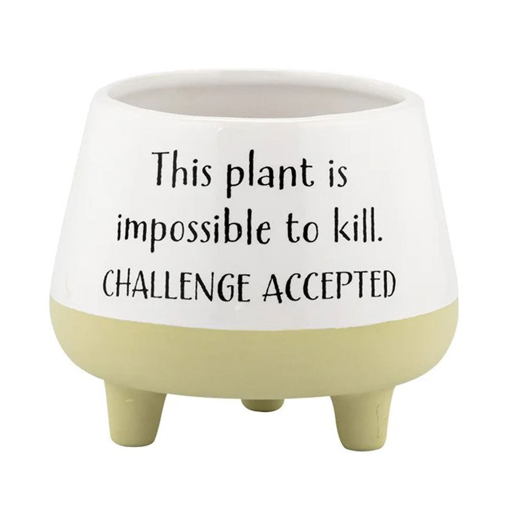 Napco, Witty Footed Planter, 3.5"L