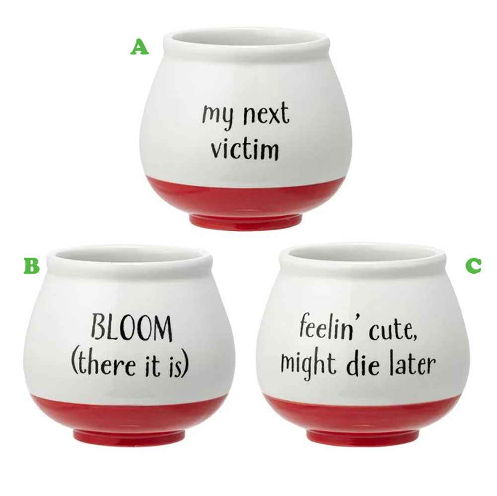 Napco, Witty Round Planter Red/White, Assorted and Sold Separately