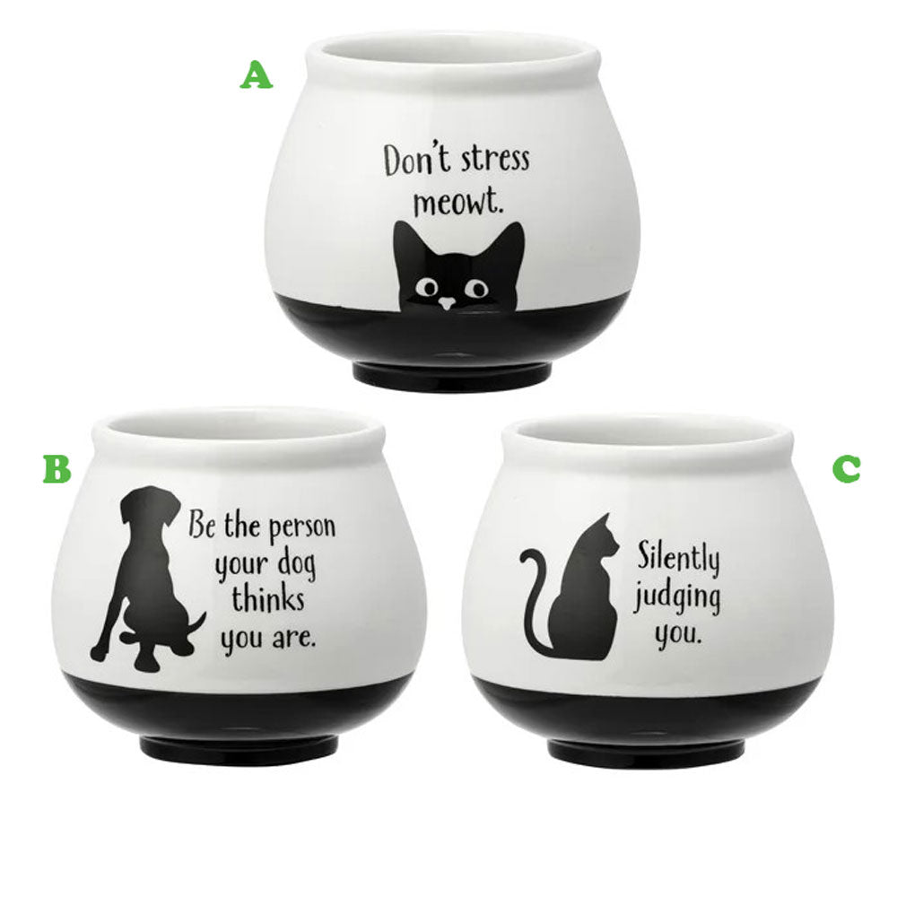 Napco, Witty Animal Black/White Planter, Assorted and Sold Separately