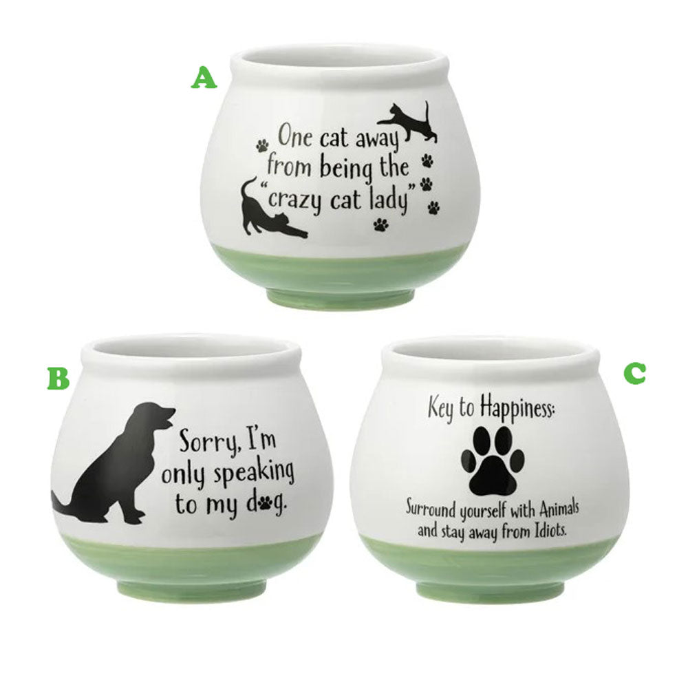 Napco, Witty Animal Planter, Assorted and Sold Separately
