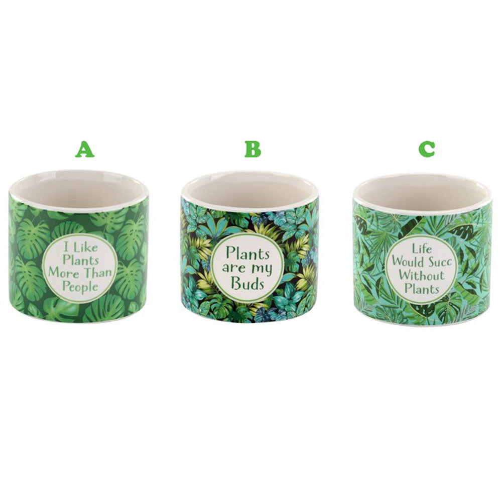 Napco, Green Witty Planter, Assorted and Sold Separately