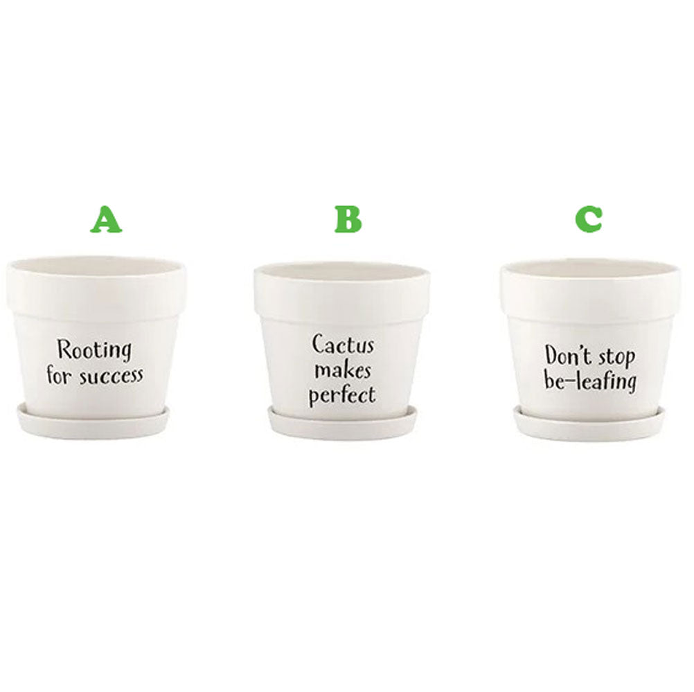 Napco, Witty Pot w/Saucer, Large, Assorted and Sold Separately