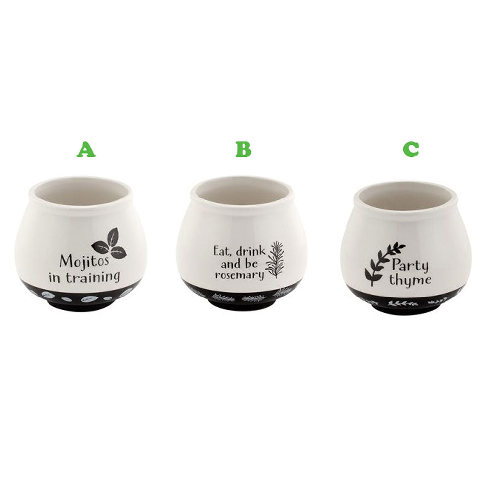 Napco, Herbs Witty Planter, Assorted and Sold Separately