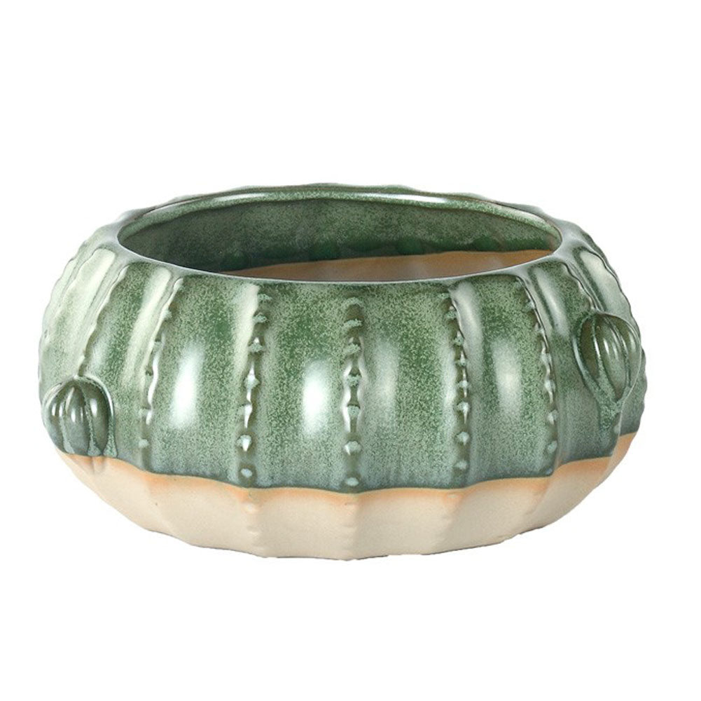 Napco, Cactus Dish Garden Planter