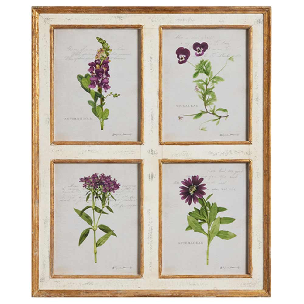 Raz, Botanical Floral Framed Wall, 32" H