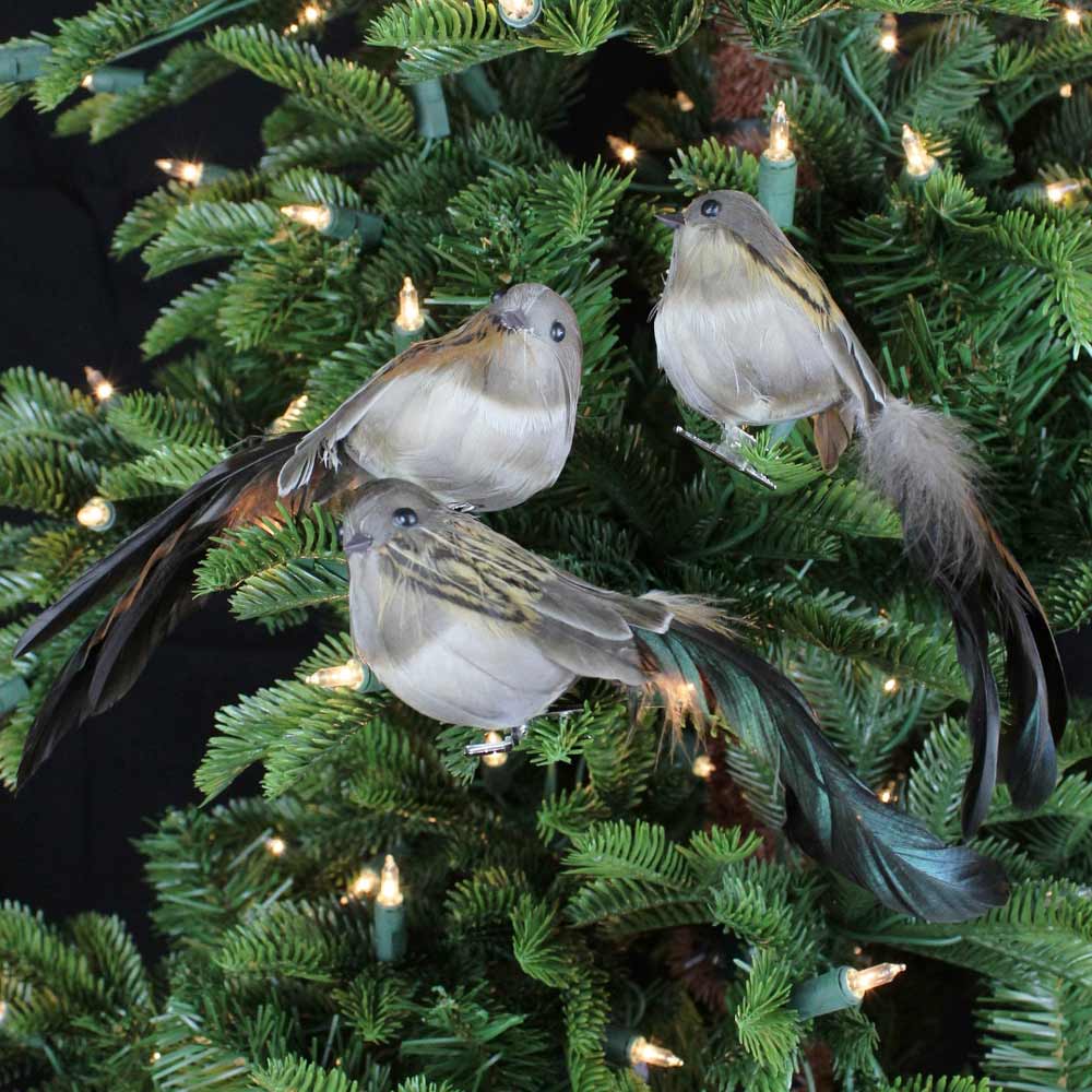 Direct Export, Brown Natural Bird W/Clip, Assorted & Sold Separately