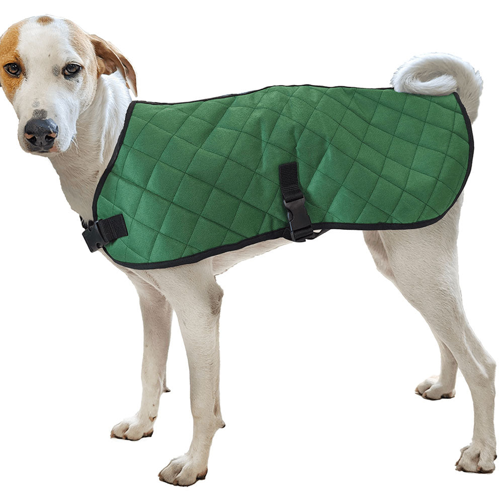 Ethical Pet, Quilt Coat, Hunter Green