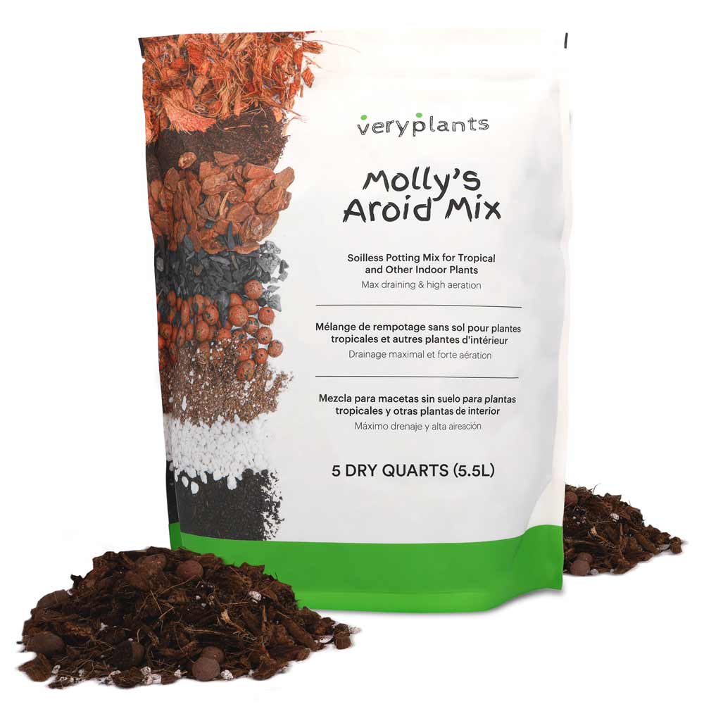 Very Plants, Molly's Aroid Mix, 5 Dry Quarts