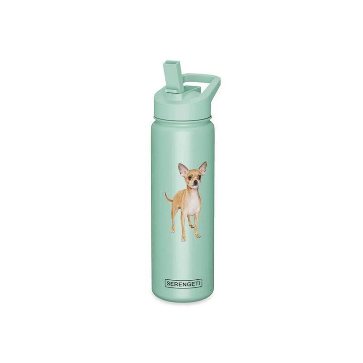 Serengeti, Chihuahua Bottle