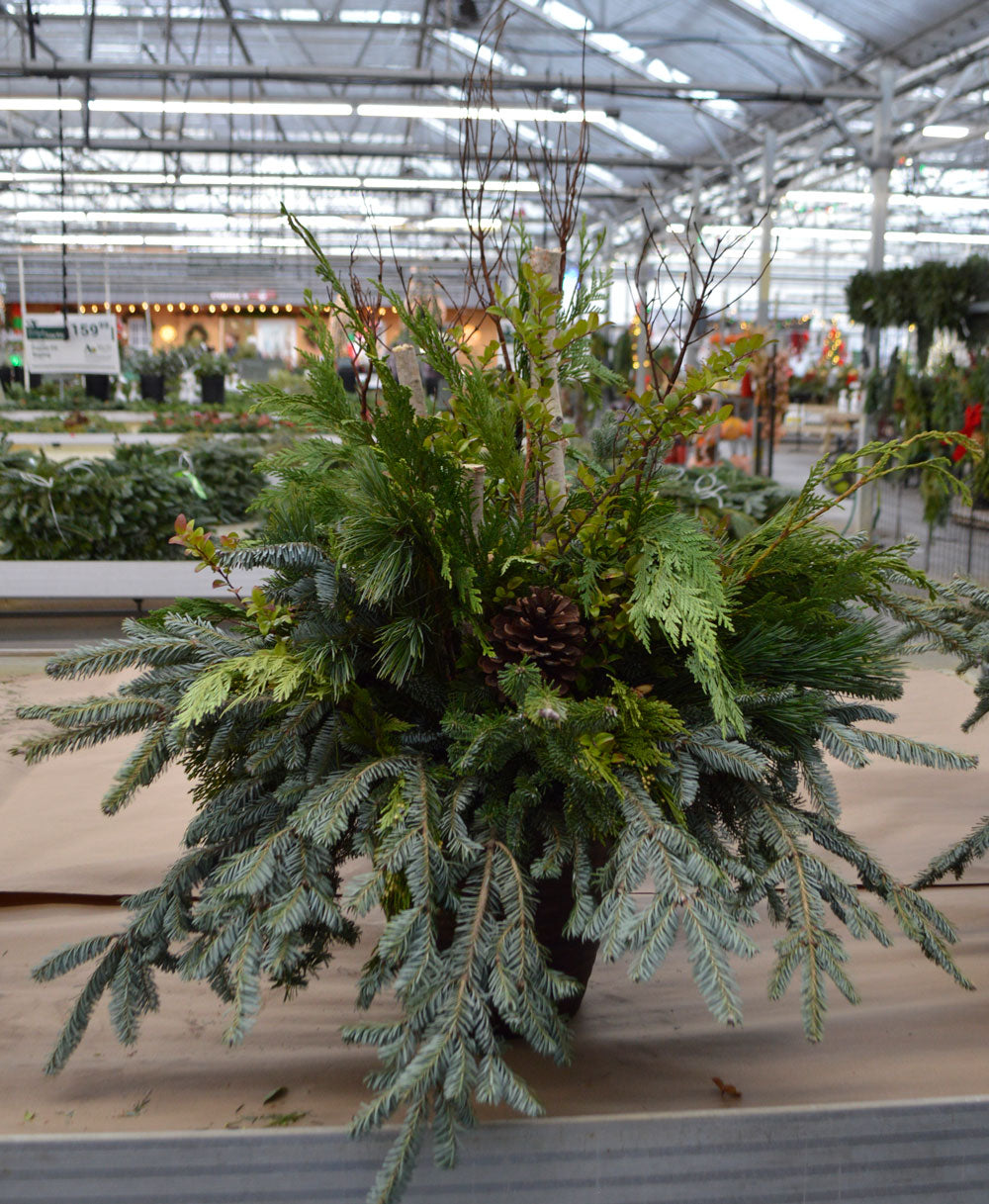 Market Natural Birch Planter