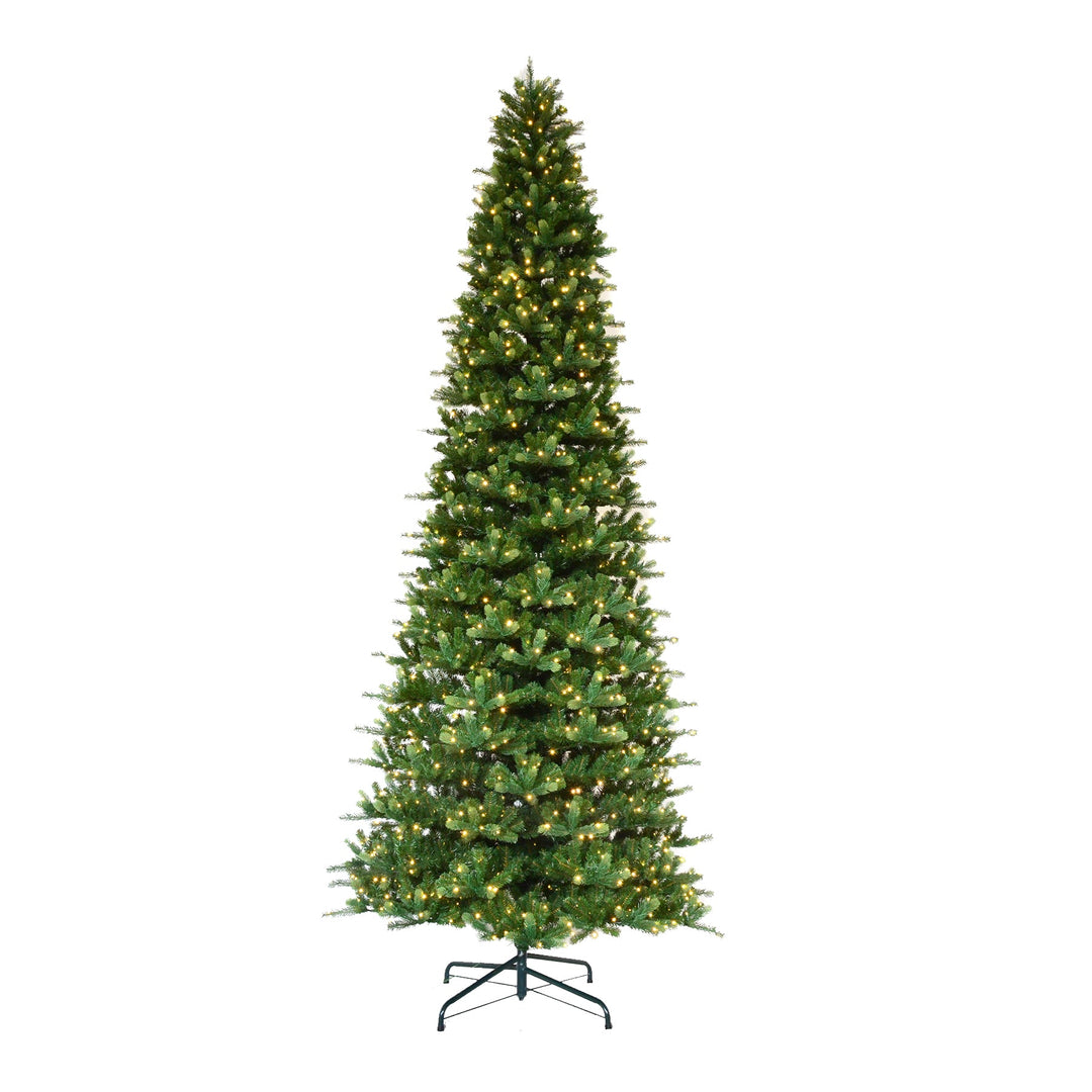 12' Illumination Noble Fir Tree