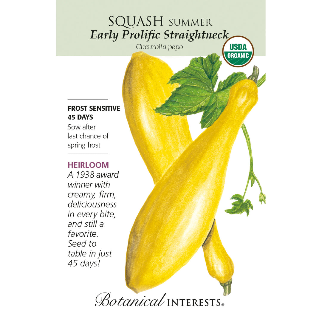 Squash, Early Prolific Straightneck Summer (Organic) Heirloom Botanical Interests Seeds