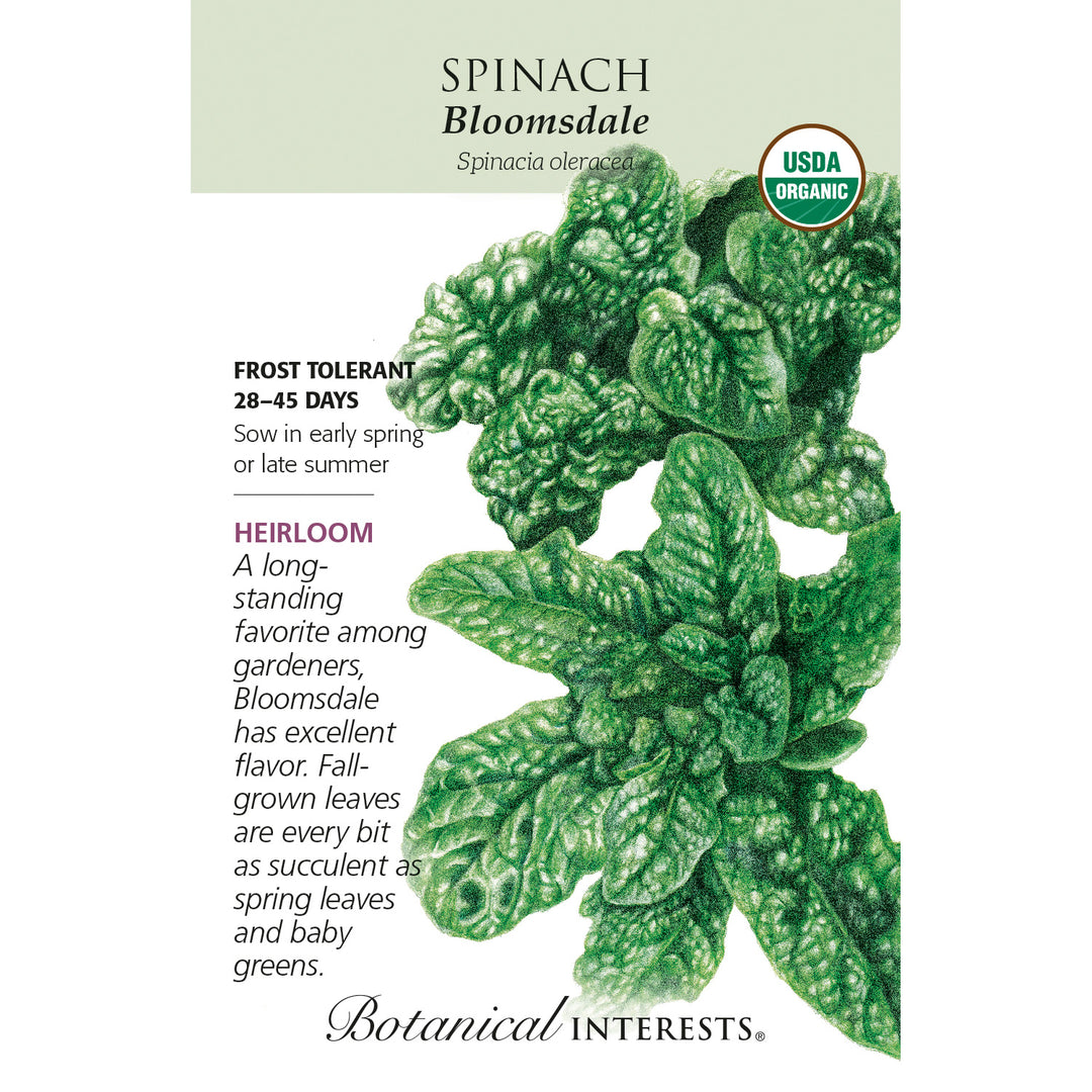 Spinach, Bloomsdale (Organic) Botanical Interests Seeds
