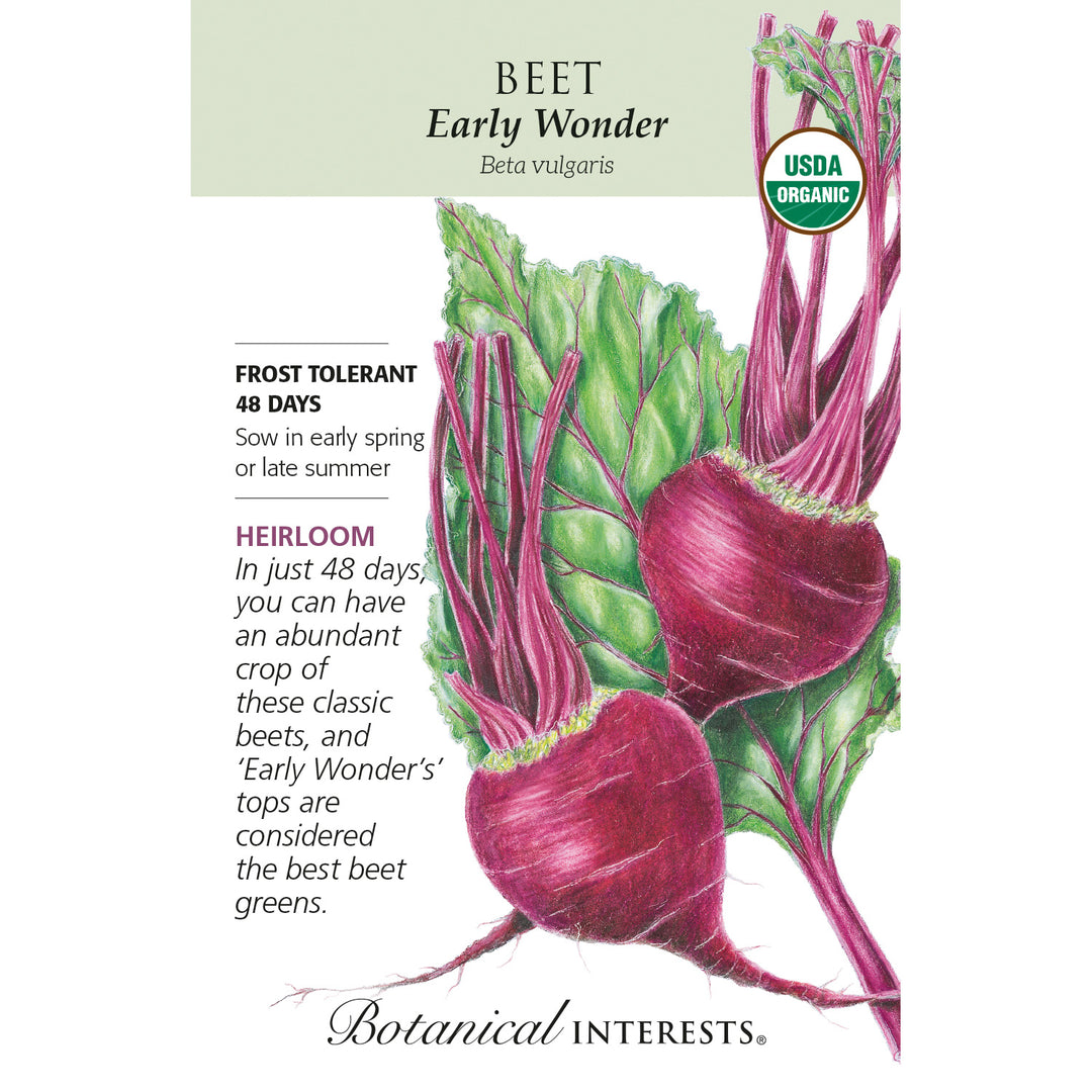 Beet, Early Wonder (Organic)Botanical Interests Seeds