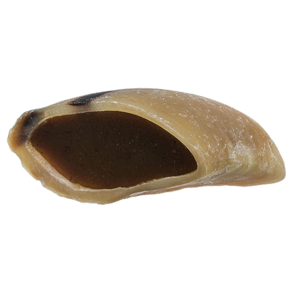 Redbarn, Filled Hooves, Beef, 1.8 oz