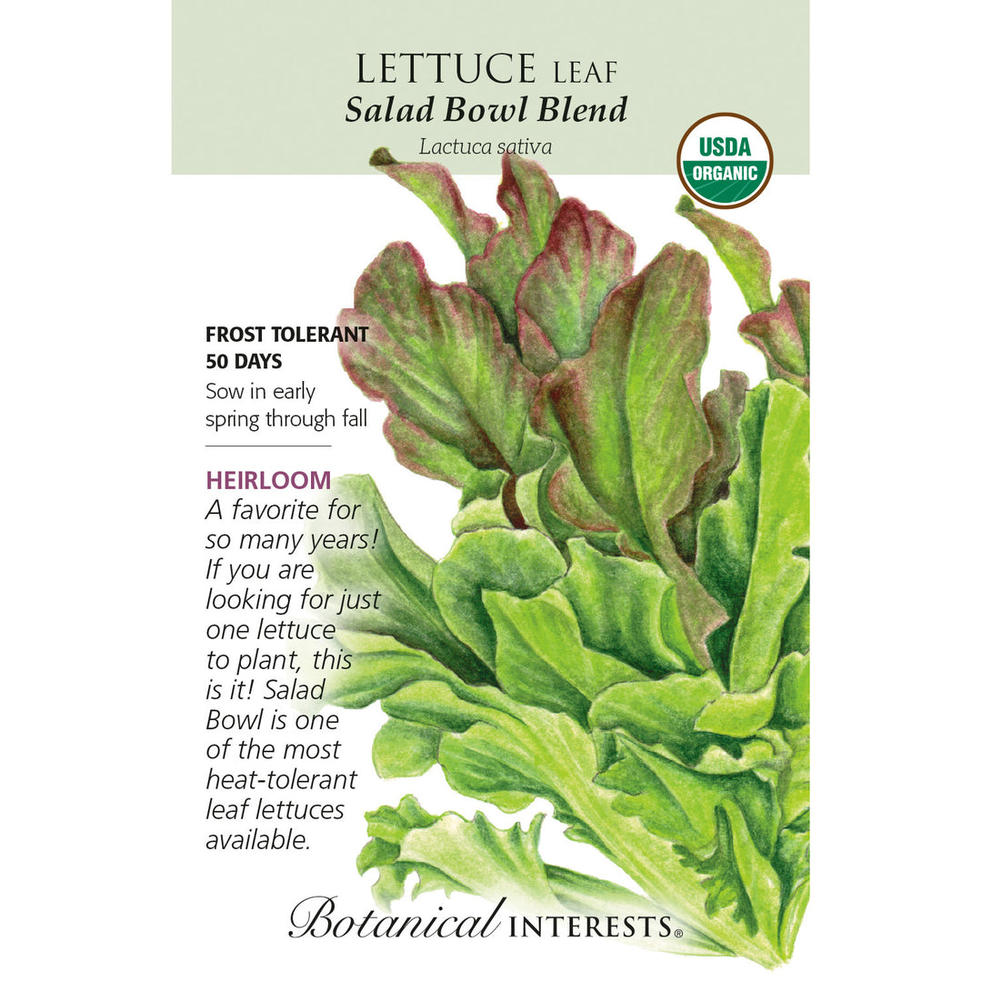 Lettuce, Salad Bowl Blend Leaf (Organic) Heirloom Botanical Interests Seeds