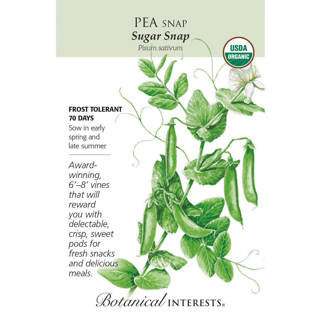 Pea, Sugar Snap (Organic) Botanical Interests Seeds