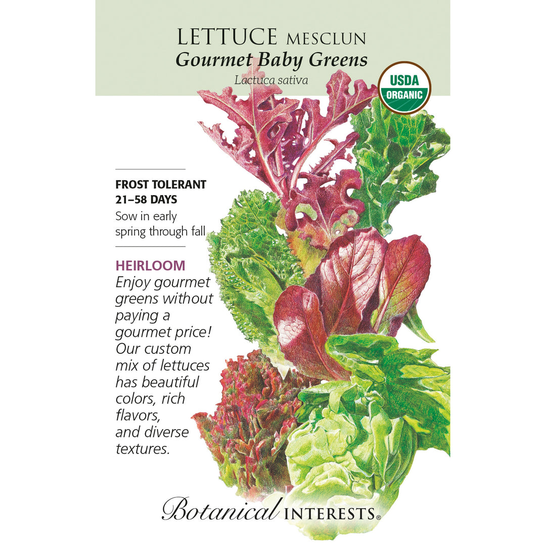 Lettuce, Gourmet Baby Greens Mesclun (Organic) Heirloom Botanical Interests Seeds