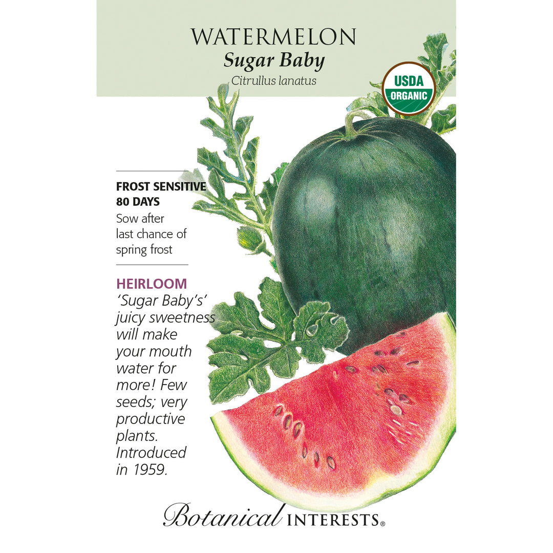 Watermelon, Sugar Baby (Organic) Botanical Interests Seeds