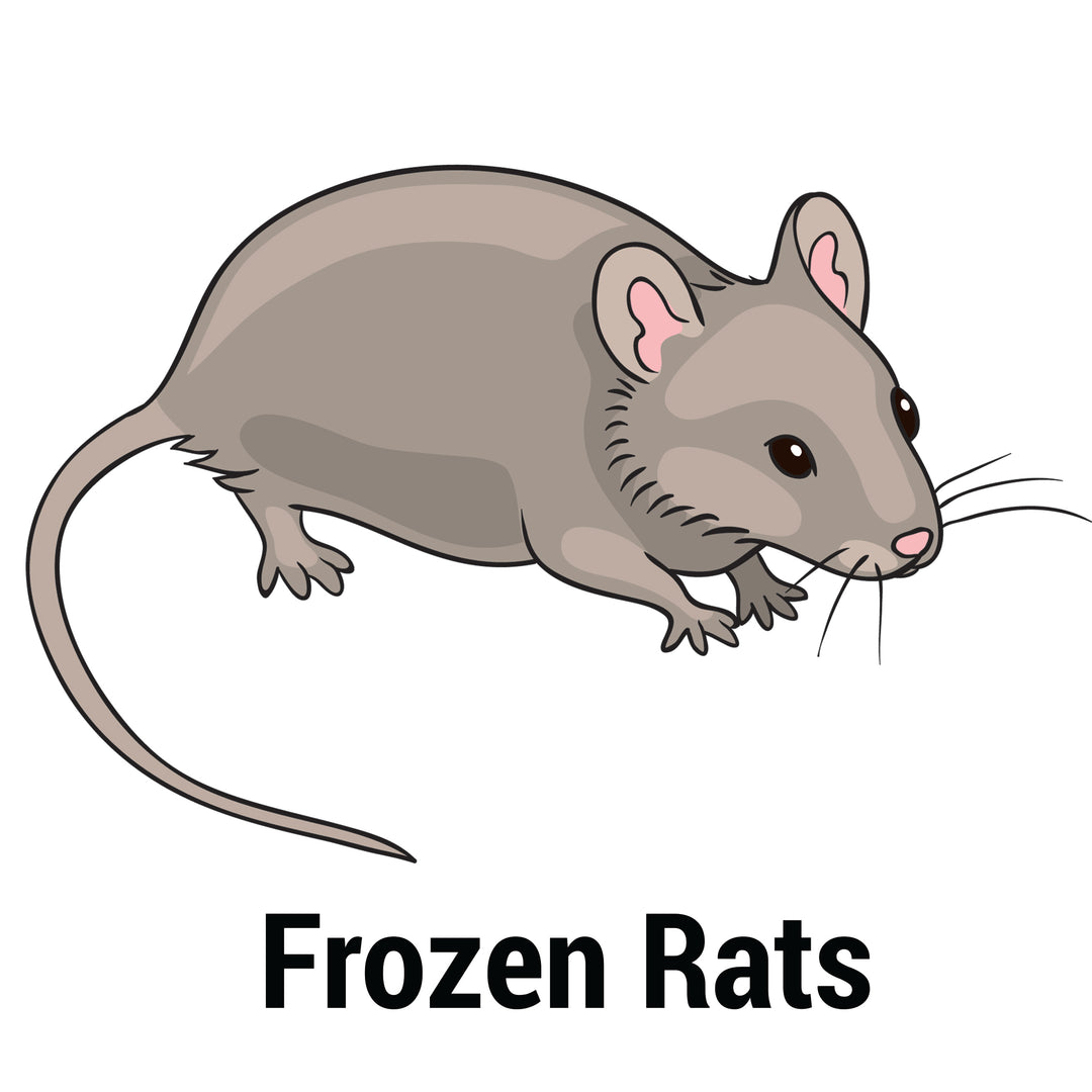 Frozen Feeder Rat, Small