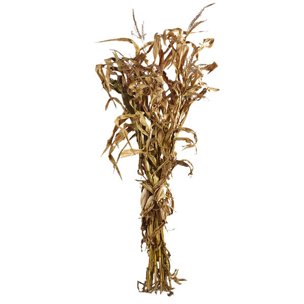Cornstalk Bundle - Fall Porch Accent