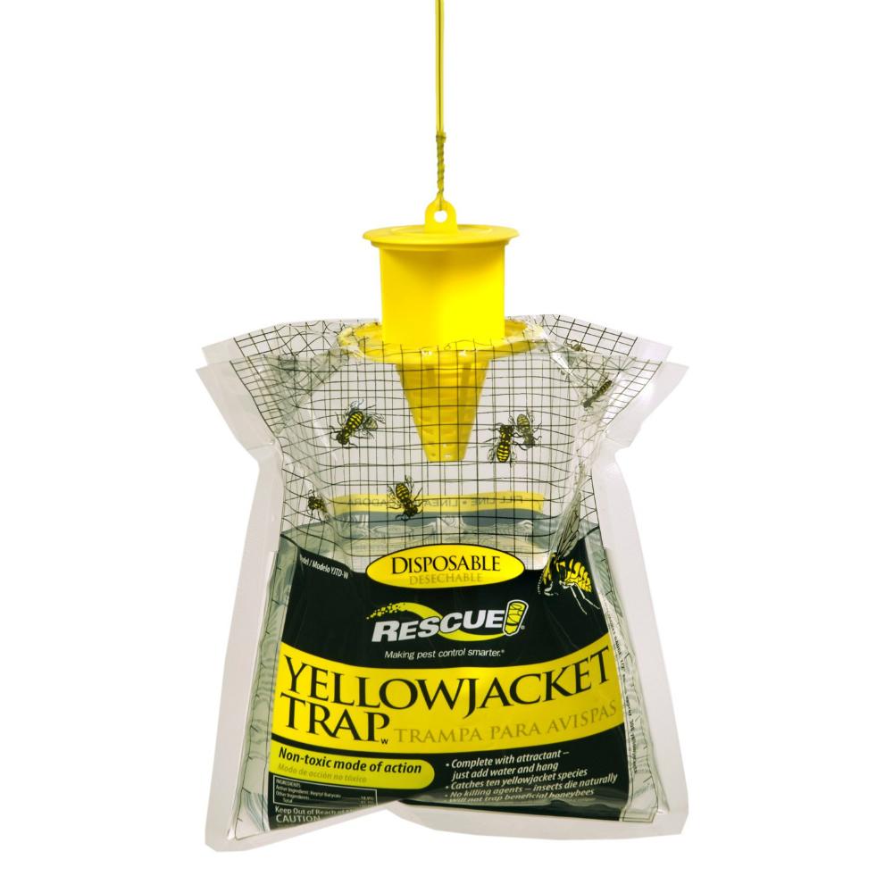 Disposable Yellow Jacket Trap