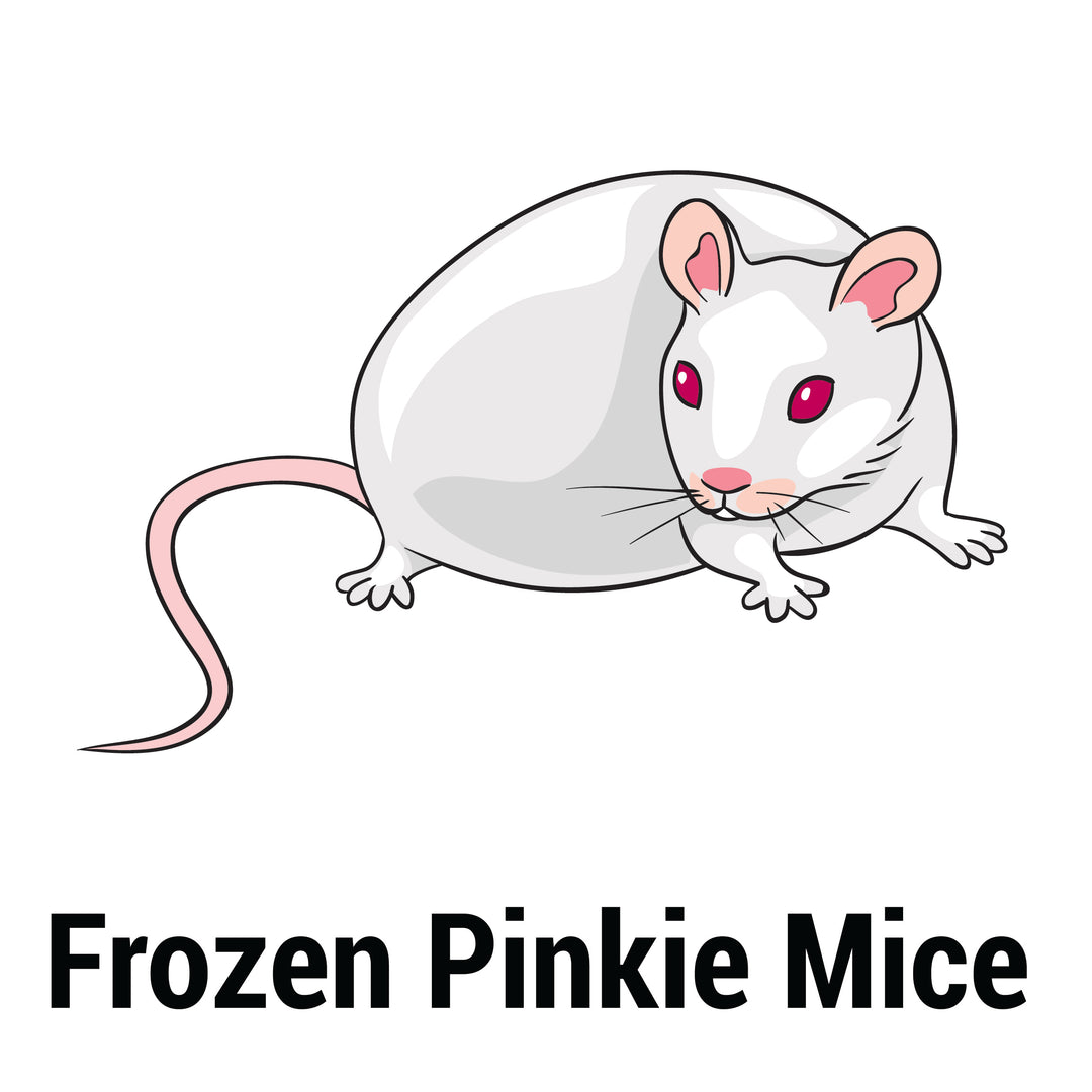Frozen Feeder Pinkie Mouse
