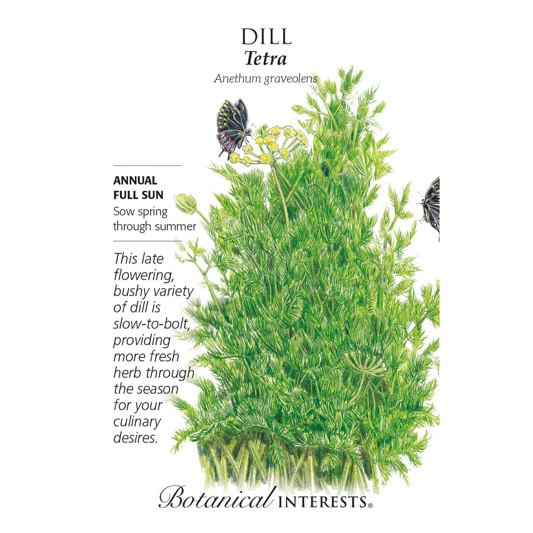 Dill, Tetra Botanical Interests Seeds