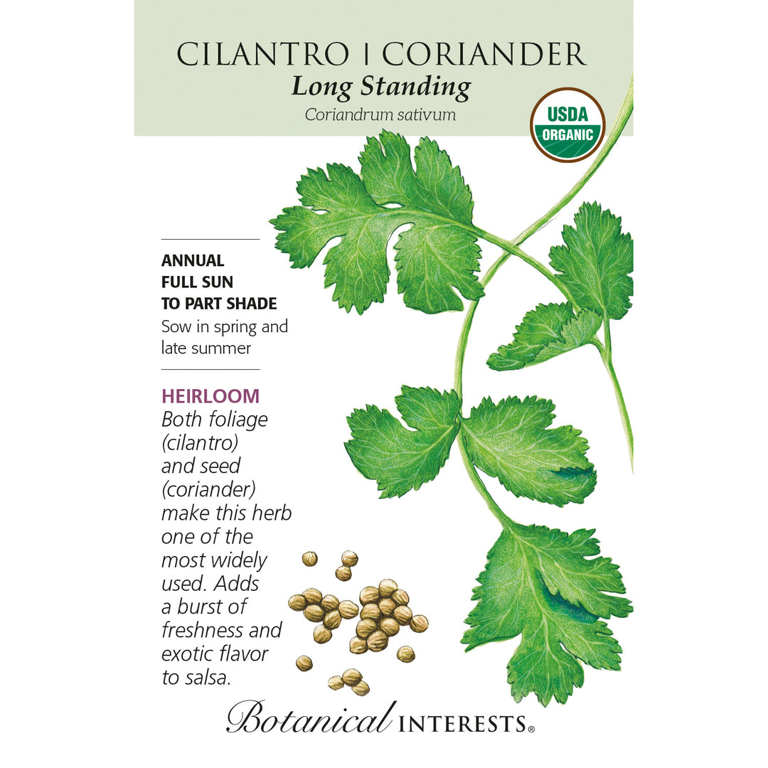 Cilantro/Coriander, Long Standing (Organic, Heirloom) Botanical Interests Seeds