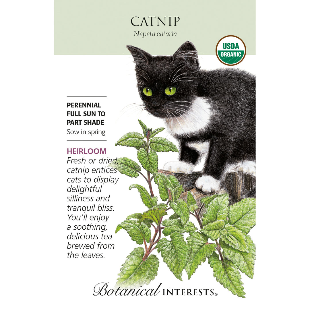 Catnip, Heirloom (Organic) Botanical Interests Seeds